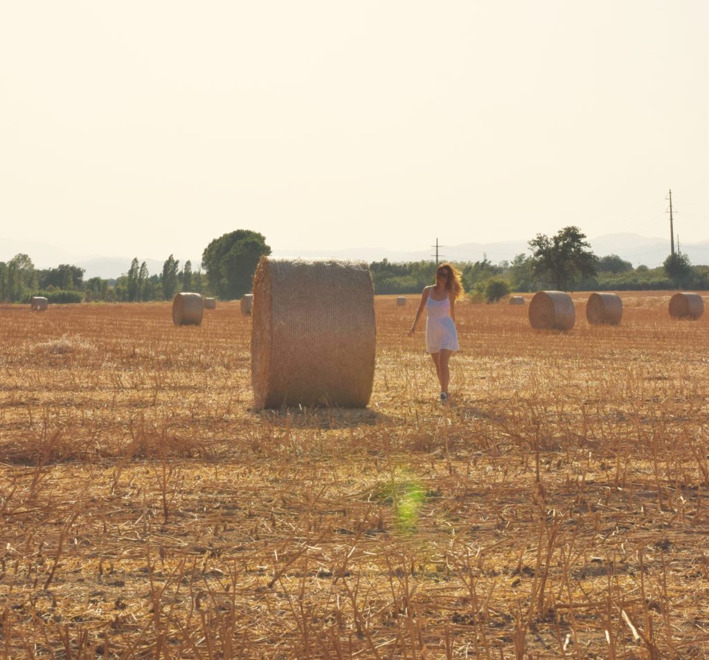 field work